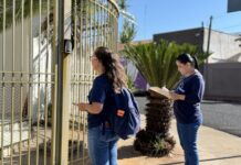 Saúde realiza mutirão de combate à Dengue neste sábado no Jardim das Palmeiras