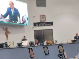 Câmara pauta criação do selo Empresa Amiga dos Autistas