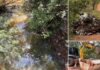 Saev Ambiental retira mais de 15 toneladas de lixo de Córrego no São Cosme e instala câmeras para fiscalizar descarte