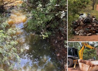 Saev Ambiental retira mais de 15 toneladas de lixo de Córrego no São Cosme e instala câmeras para fiscalizar descarte