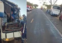 Colisão entre ônibus e caminhão deixa feridos na Rodovia Péricles Bellini