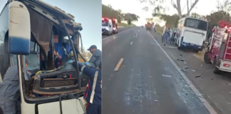 Colisão entre ônibus e caminhão deixa feridos na Rodovia Péricles Bellini