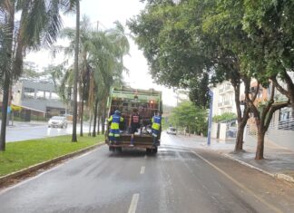 Saev Ambiental mantém multa de R$ 232,7 mil à empresa de coleta de lixo; licitação é colocada em xeque