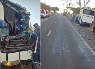 Colisão entre ônibus e caminhão deixa feridos na Rodovia Péricles Bellini