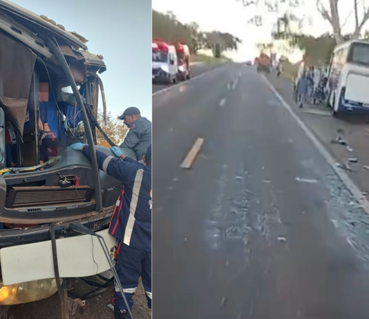 Colisão entre ônibus e caminhão deixa feridos na Rodovia Péricles Bellini