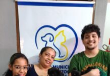 Secretaria de Bem-Estar Animal promove adoção responsável de 155 animais em sete meses