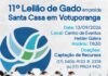 Tradição, união e solidariedade: grande Leilão de Gado mobiliza Votuporanga em prol da Santa Casa