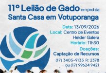 Tradição, união e solidariedade: grande Leilão de Gado mobiliza Votuporanga em prol da Santa Casa