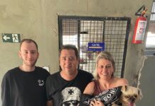 Secretaria de Bem-Estar Animal promove adoção responsável de 172 animais em sete meses