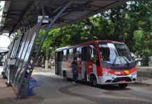 Trânsito: transporte coletivo terá operação especial durante as eleições