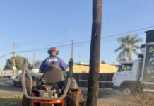 Prefeitura reforça serviços de zeladoria para manter Votuporanga limpa, organizada e bem cuidada