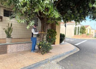 No mês da Árvore, Votuporanga avança no mapeamento da arborização urbana