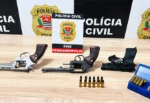 DISE apreende armas e munições durante operação em Fernandópolis