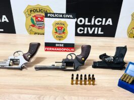 DISE apreende armas e munições durante operação em Fernandópolis