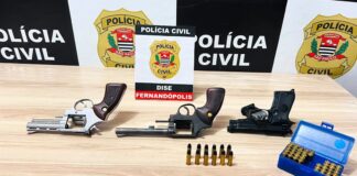 DISE apreende armas e munições durante operação em Fernandópolis