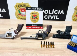 DISE apreende armas e munições durante operação em Fernandópolis
