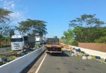 Acidente com caminhão espalha frutas pela Rodovia Euclides da Cunha em Santa Fé do Sul