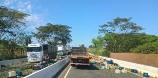 Acidente com caminhão espalha frutas pela Rodovia Euclides da Cunha em Santa Fé do Sul