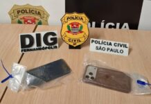 DIG de Fernandópolis investiga golpe de R$ 100 mil contra idoso e cumpre mandados em Rio Preto