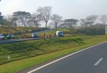 Corpo de homem com ferimento na cabeça é encontrado em rodovia de Mirassol