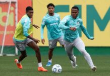 Palmeiras se prepara para enfrentar a LDU com quatro desfalques