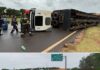 Caminhão com cerca de 70 cabeças de gado tomba em rodovia de Fernandópolis