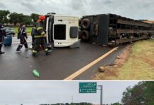 Caminhão com cerca de 70 cabeças de gado tomba em rodovia de Fernandópolis