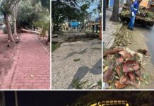 Prefeitura mobiliza equipes para reparar estragos causados pela forte ventania em Votuporanga