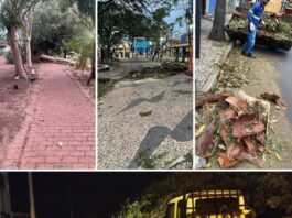 Prefeitura mobiliza equipes para reparar estragos causados pela forte ventania em Votuporanga