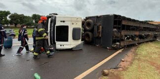 Caminhão com cerca de 70 cabeças de gado tomba em rodovia de Fernandópolis