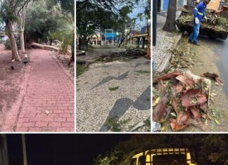 Prefeitura mobiliza equipes para reparar estragos causados pela forte ventania em Votuporanga