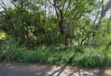 Corpo em estado de decomposição é encontrado às margens de rio em Rio Preto