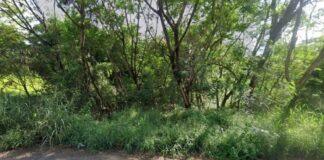 Corpo em estado de decomposição é encontrado às margens de rio em Rio Preto