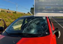 Homem morre atropelado ao parar carro no acostamento para pegar tambor que caiu de caminhão em rodovia