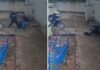Homem é preso por esfaquear ex-mulher na chegada ao trabalho em Rio Preto