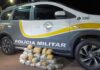 Boliviana é presa com quase 20 kg de skunk em ônibus interestadual na Rodovia Marechal Rondon
