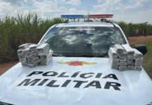 Perseguição termina em capotamento, morte e apreensão de 25 kg de maconha em Catanduva