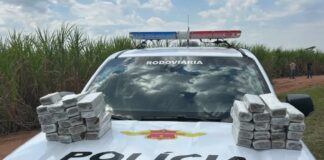 Perseguição termina em capotamento, morte e apreensão de 25 kg de maconha em Catanduva