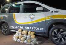 Boliviana é presa com quase 20 kg de skunk em ônibus interestadual na Rodovia Marechal Rondon
