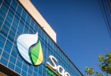 Saev adota Contrata+Brasil para ampliar participação de pequenos negócios em compras públicas