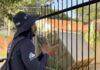 Combate à dengue esbarra em recusas de moradores em Votuporanga