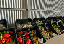 Prefeitura orienta produtores e comerciantes sobre rastreabilidade de alimentos da agricultura