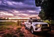 Polícia Ambiental intensifica ações contra crimes envolvendo vegetação nativa