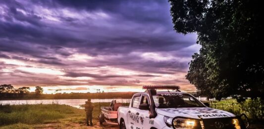 Polícia Ambiental intensifica ações contra crimes envolvendo vegetação nativa