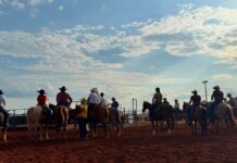 Votuporanga recebe 2ª edição do Grand Prix de Ranch Sorting com mais de R$ 120 mil em premiação