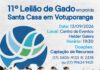 11º Leilão de Gado em prol da Santa Casa de Votuporanga reúne solidariedade e novas atrações