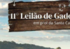 11º Leilão de Gado da Santa Casa acontece neste domingo