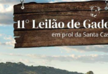 11º Leilão de Gado da Santa Casa acontece neste domingo