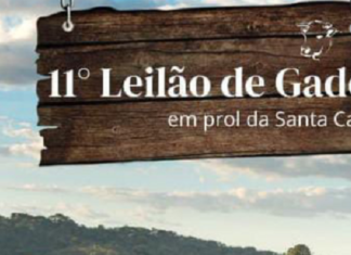 11º Leilão de Gado da Santa Casa acontece neste domingo
