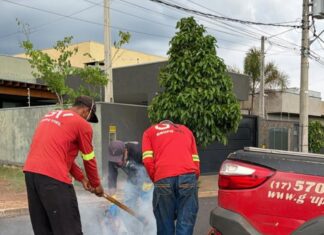 Controle de pragas começa pela região Norte e seguirá para mais de 5 mil pontos